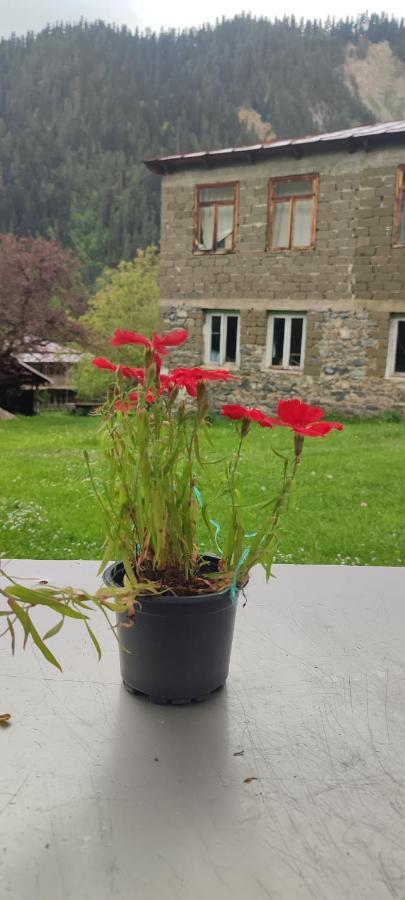 Tsknari Oda Oni Екстериор снимка